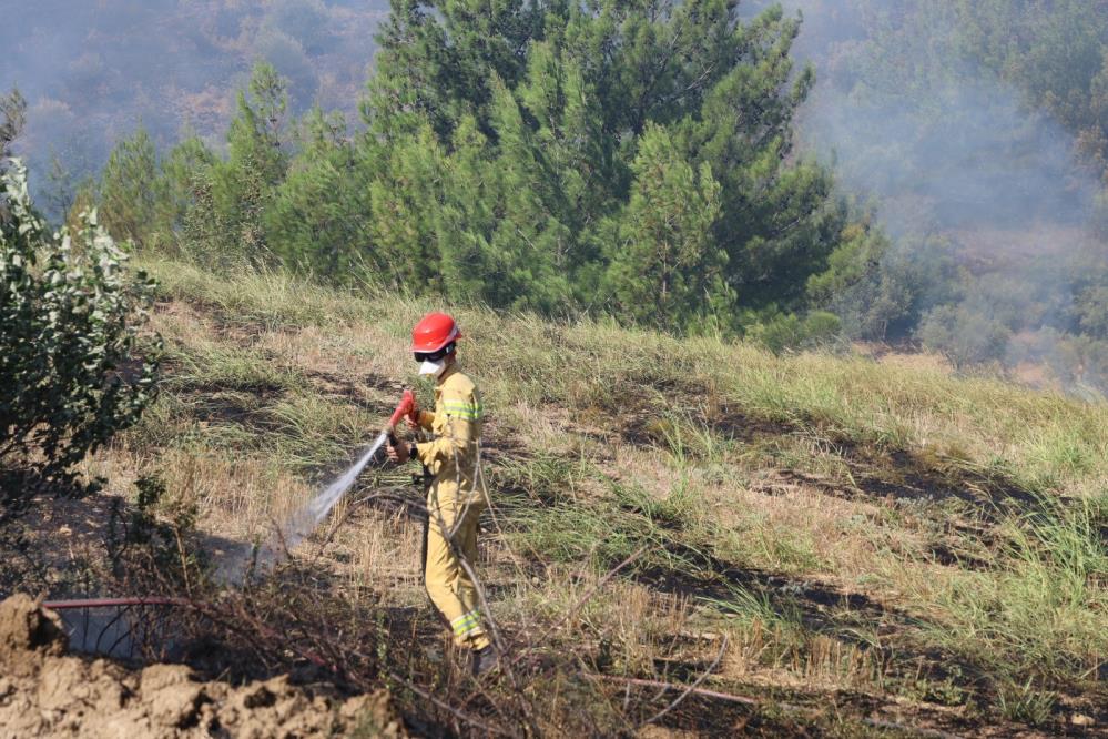 Adana’daki orman yangını evlere sıçradı, 8 ev zarar gördü