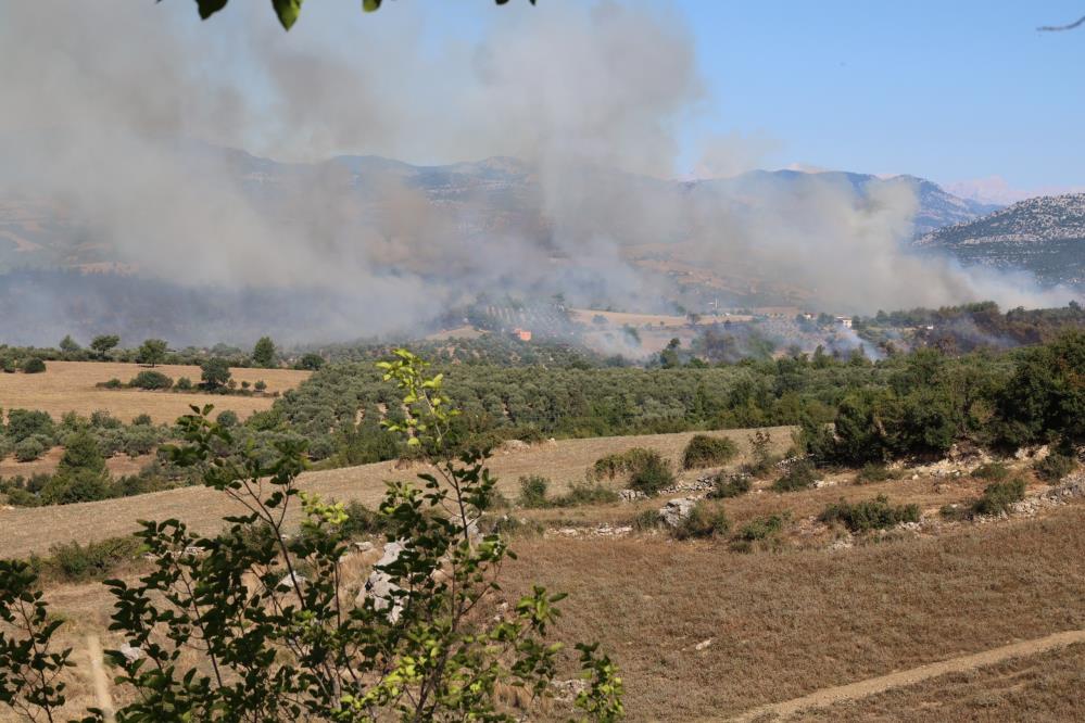 Adana’daki orman yangını evlere sıçradı, 8 ev zarar gördü