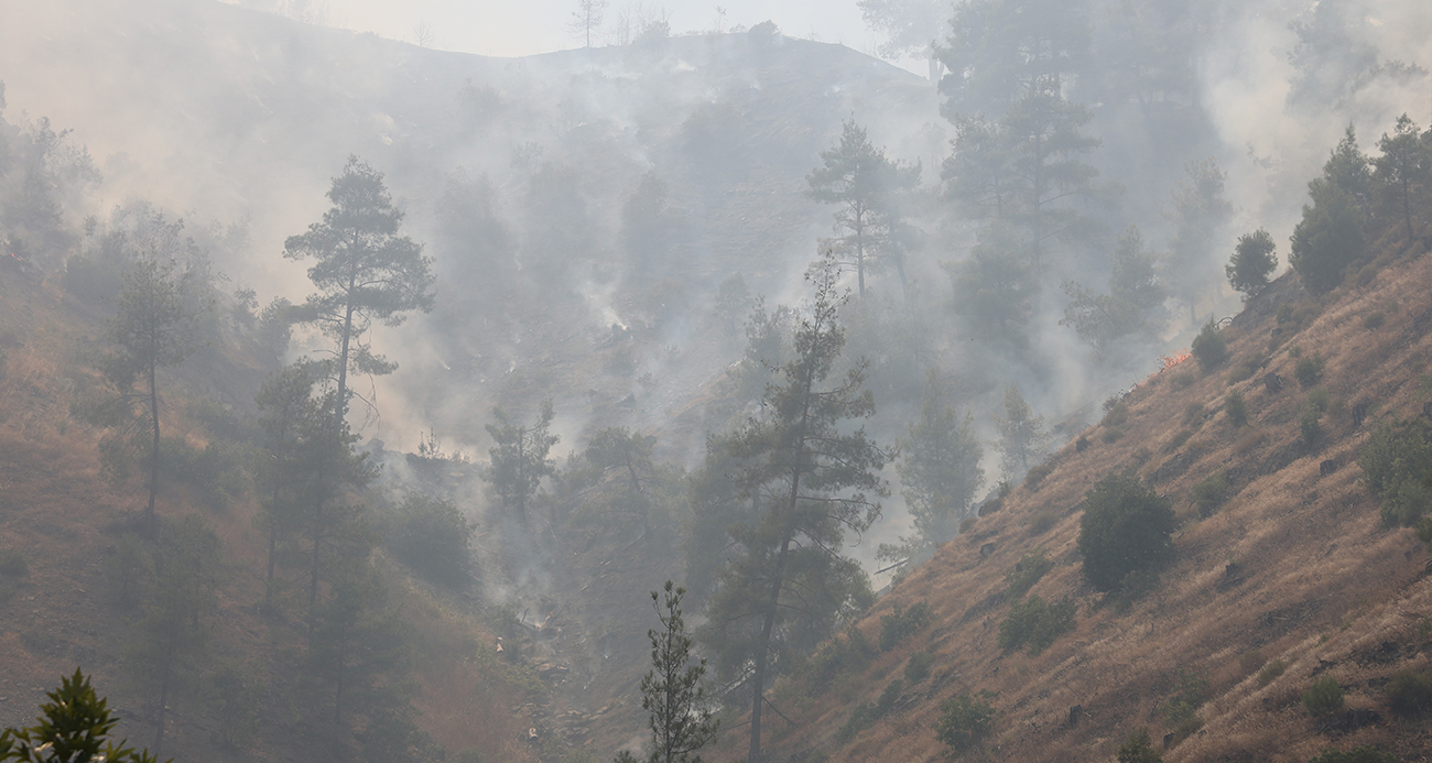 Kahramanmaraş’ta ikamet yangını ormana sıçradı