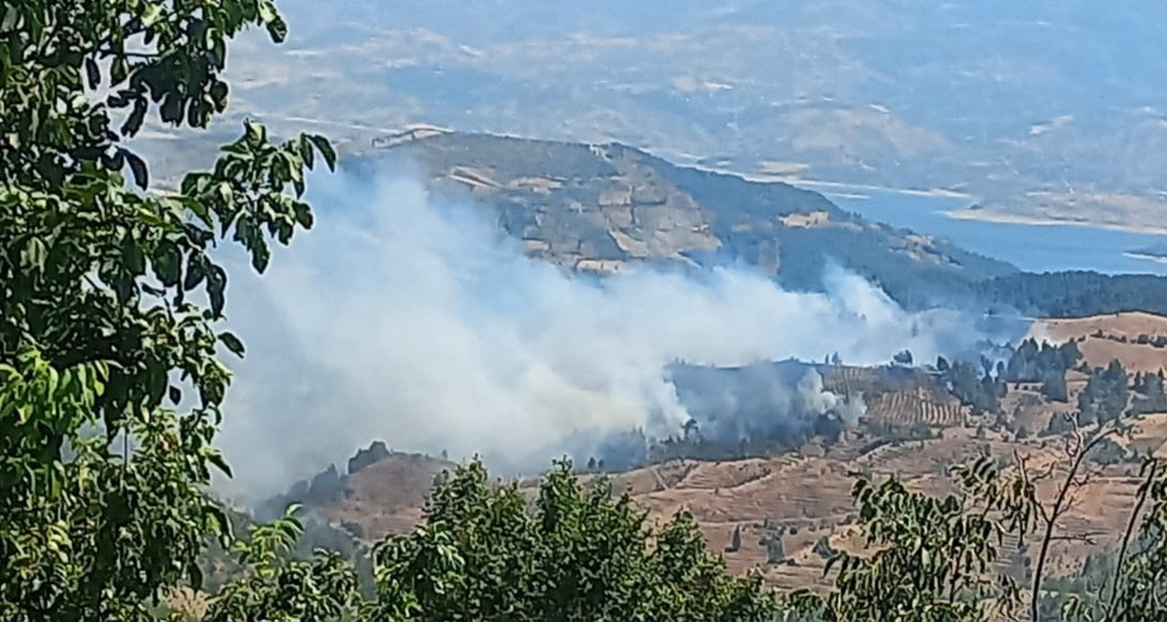 Kahramanmaraş’ta orman yangını