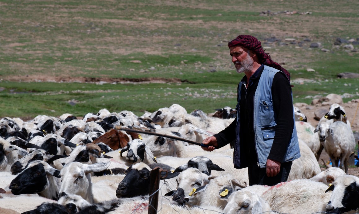 Erzurum'da 3 bin rakımda 3 yüz çadır kurulu