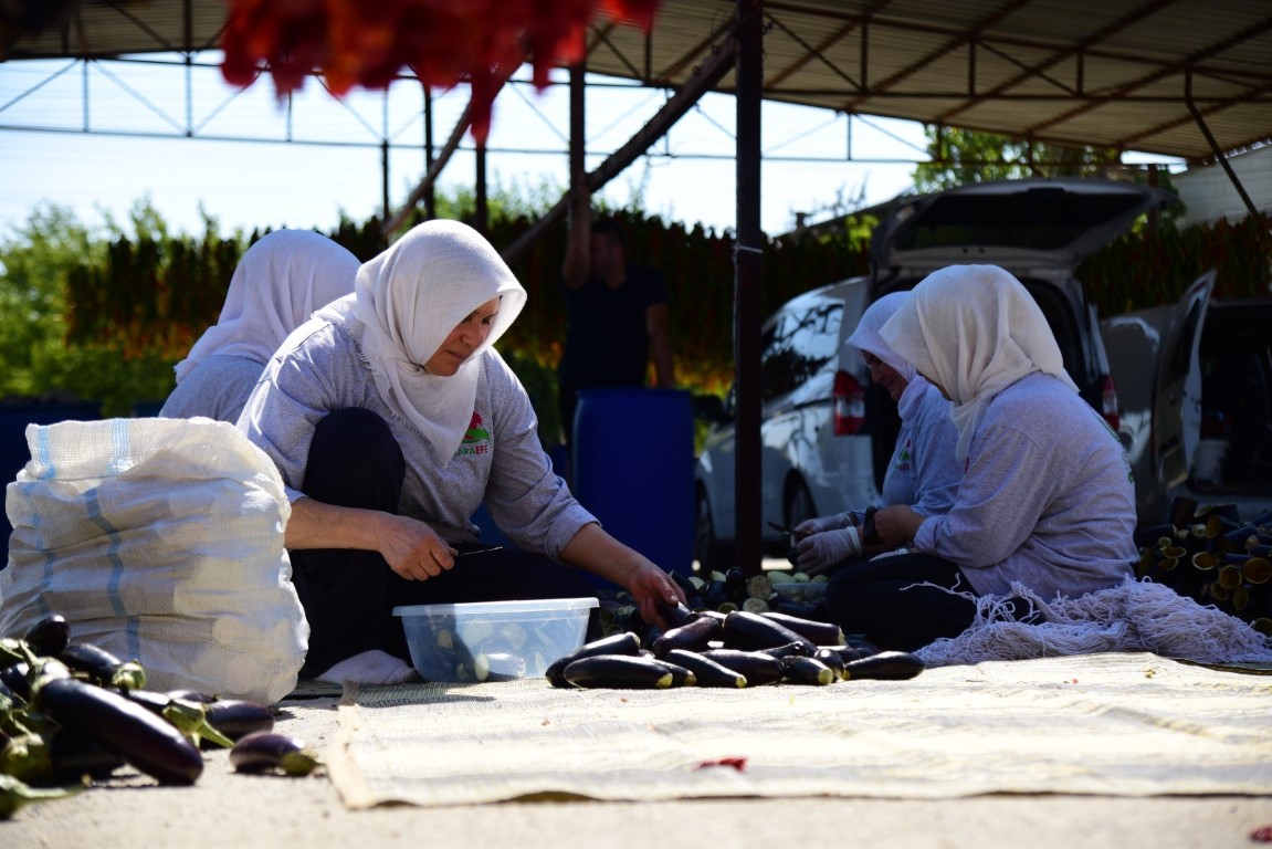 Patlıcan Vadisi’nden dünya sofralarına