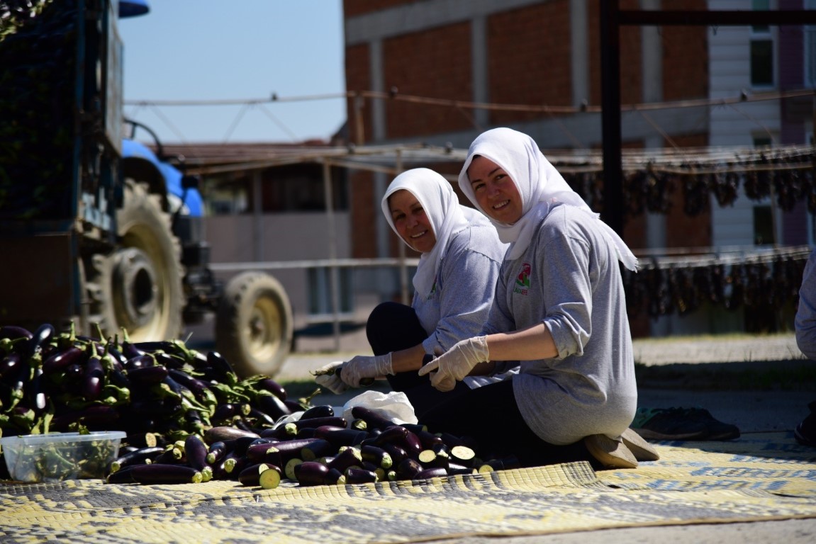 Patlıcan Vadisi’nden dünya sofralarına