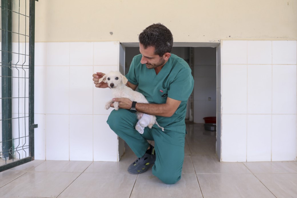 Polis ve itfaiye kurtarmıştı: Ayakları kesilen köpek sağlığına kavuştu