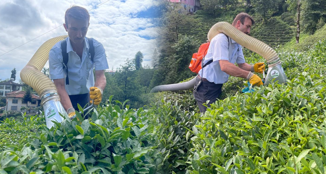 Çay toplamayı kolaylaştıran Rizeli şimdi de kesilen çayları taşıma sorununu çözdü