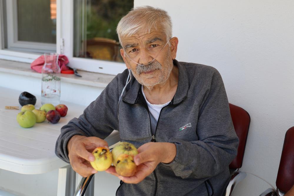 Termik santralden yayılan kömür külü köylüyü kanser etti