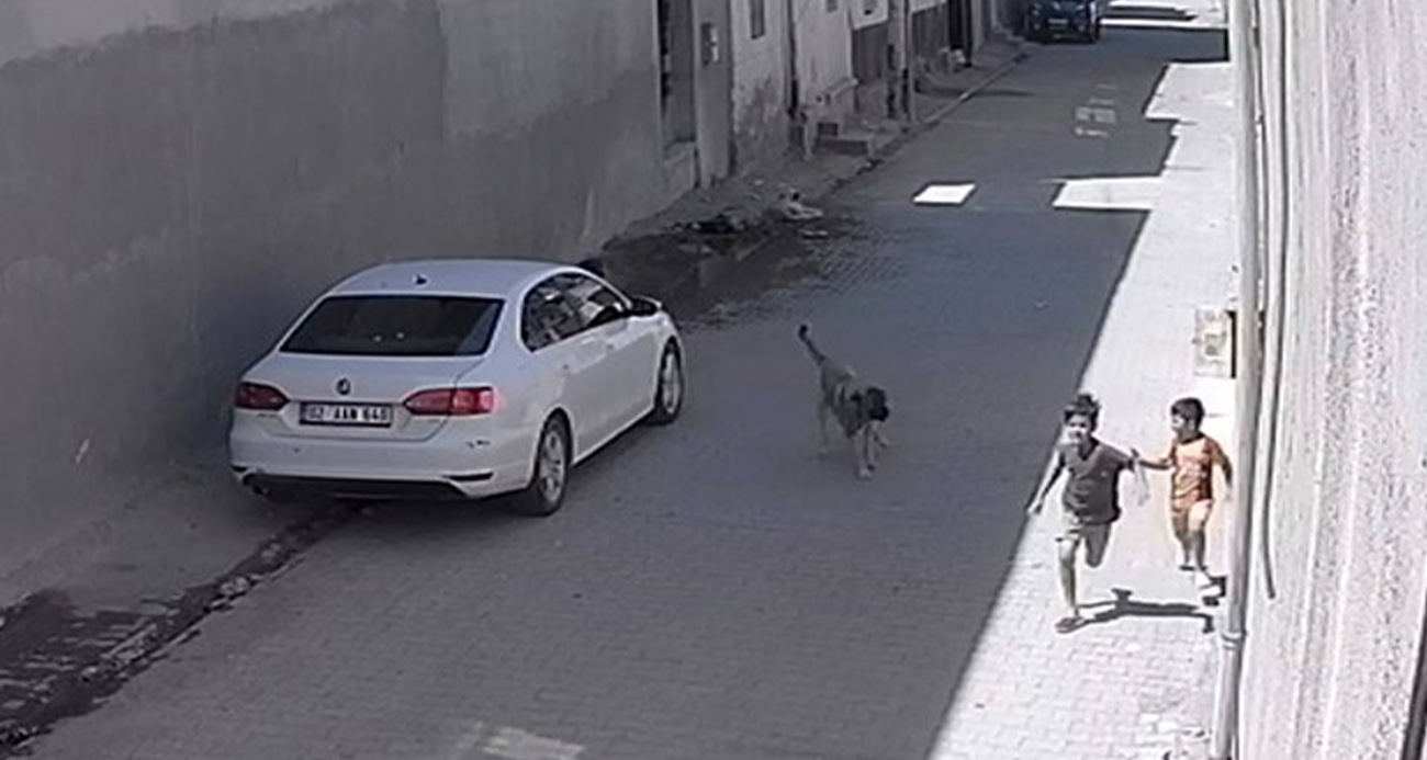Sokak köpeğinin çocuklara saldırısı kameraya yansıdı