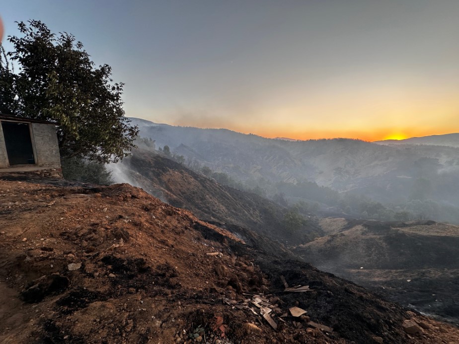 Bingöl’de çıkan orman yangını güçlükle kontrol altına alındı