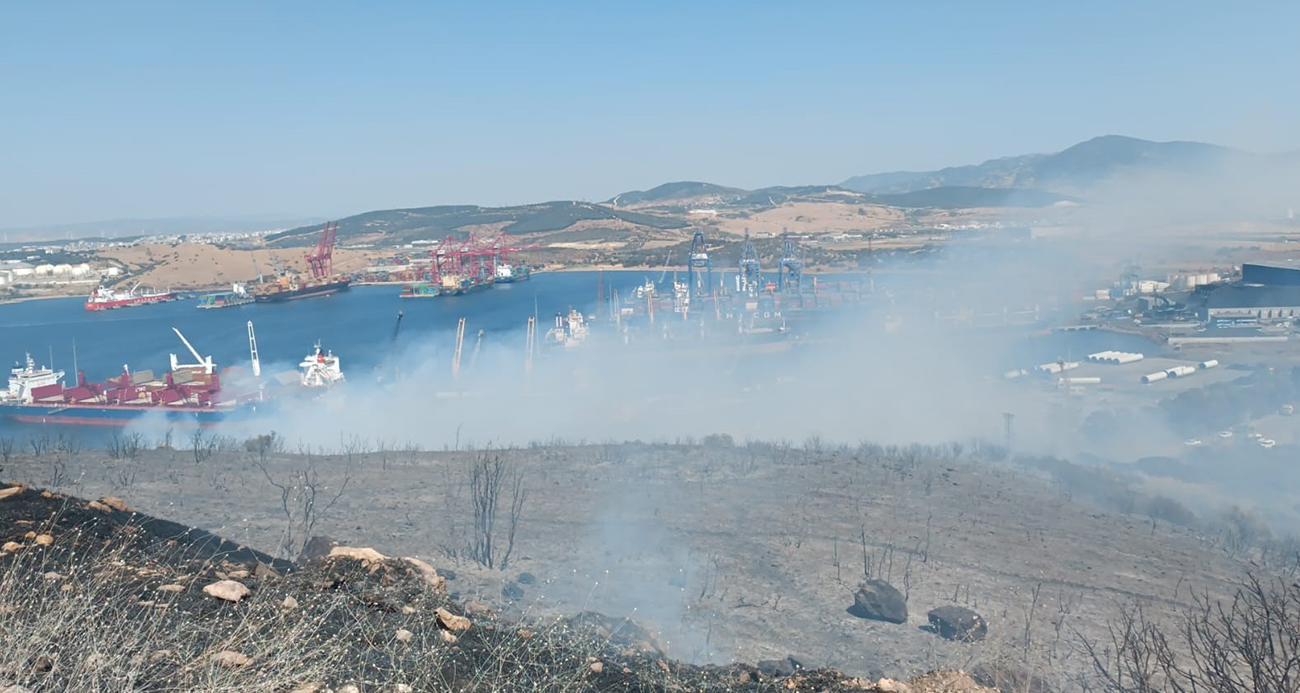 İzmir’de orman yangını