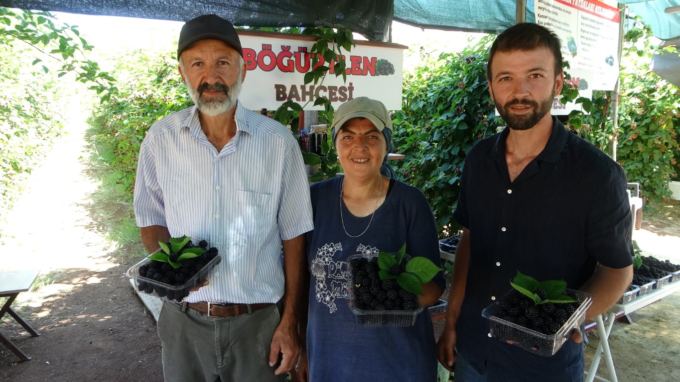 Bu bahçeye giren bir daha çıkmak istemiyor