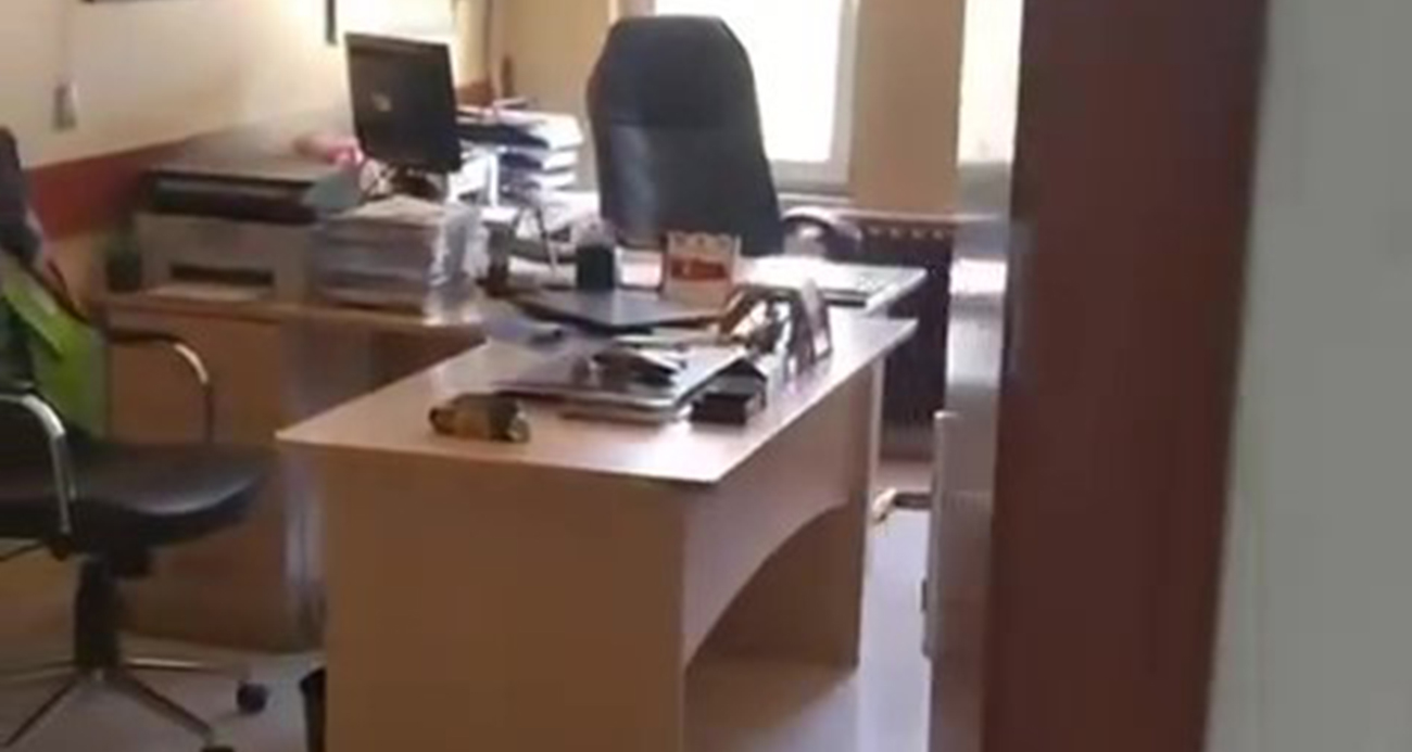 O görüntülere tarım müdürlüğünden açıklama geldi