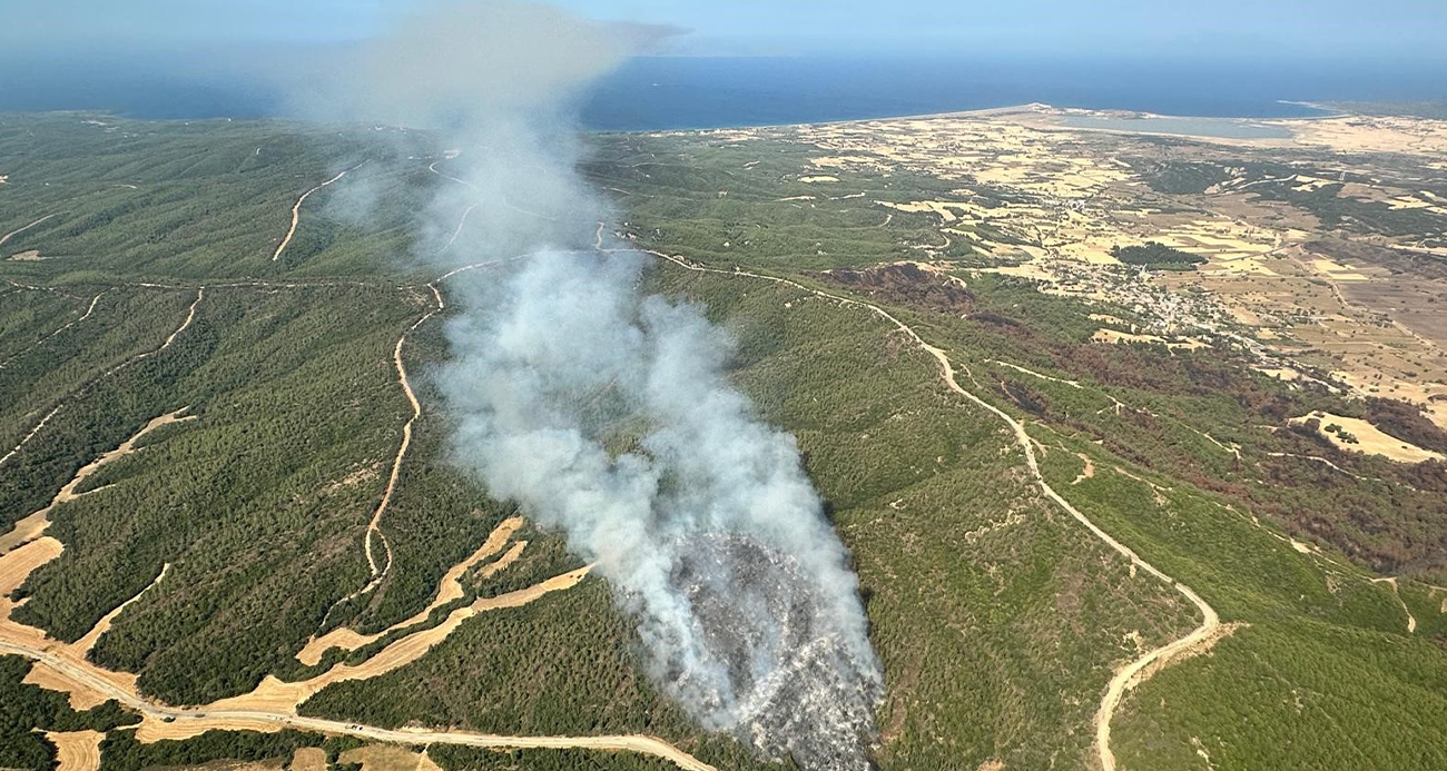 Çanakkale’de orman yangını