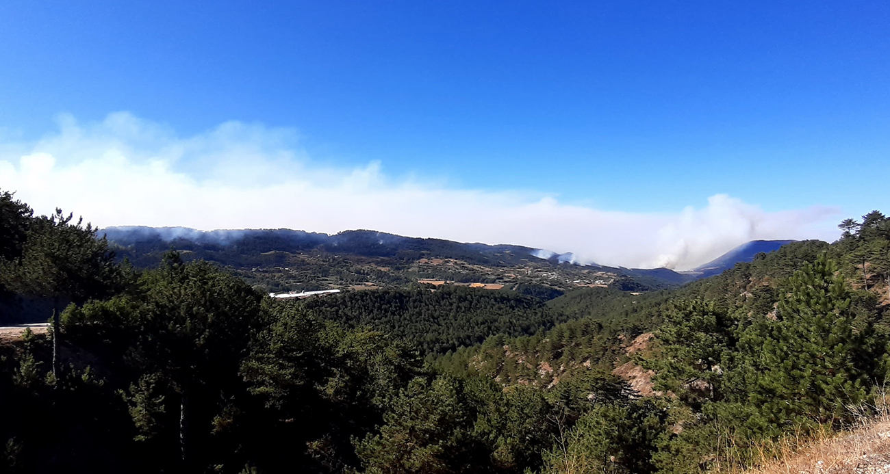 Bolu’da orman yangını 21’nci saatinde: Sabahın ilk ışıklarıyla havadan müdahale başladı