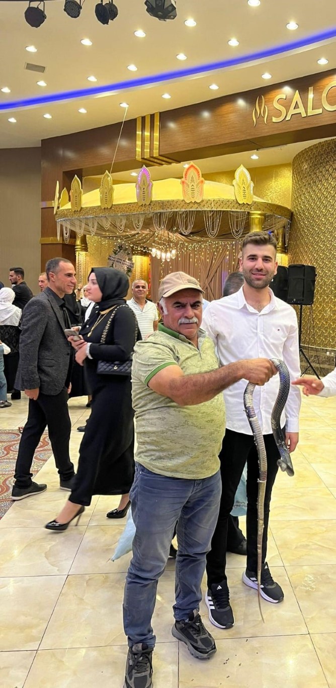 Batman’da düğünde gelin ve damada ’yılan şovu’ sürprizi