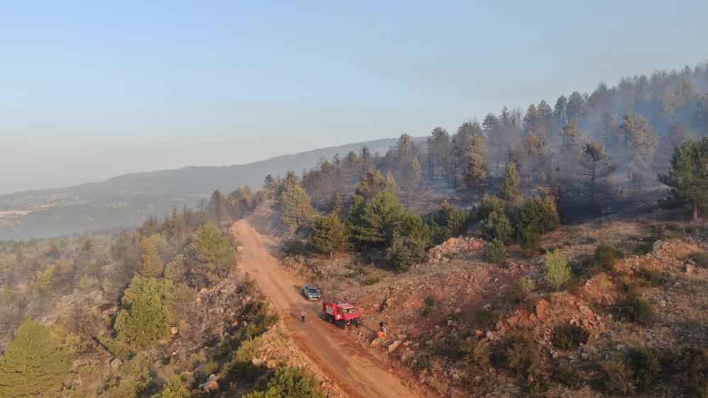 Çankırı’daki orman yangınına müdahale sürüyor: 44,17 hektar alan zarar gördü