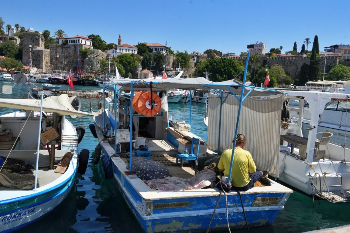 Antalya’da rekor sıcaklık denizdeki balık türlerini ve omurgasız canlıları yok ediyor