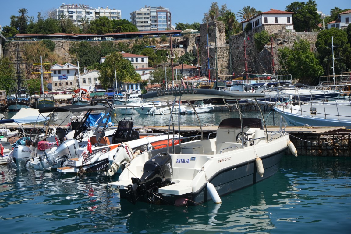 Antalya’da rekor sıcaklık denizdeki balık türlerini ve omurgasız canlıları yok ediyor