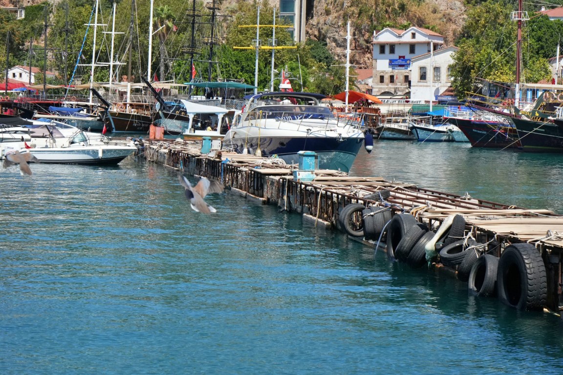 Antalya’da rekor sıcaklık denizdeki balık türlerini ve omurgasız canlıları yok ediyor