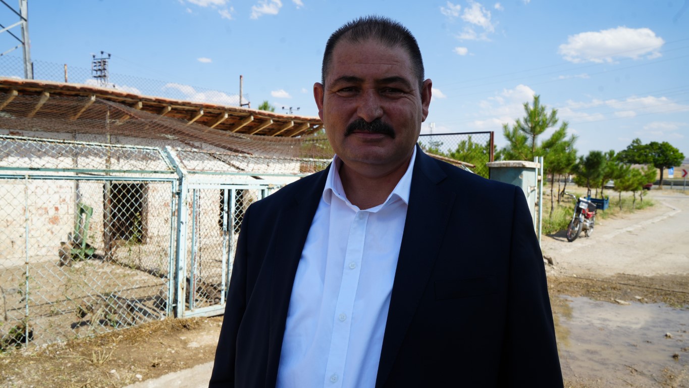 Sürü halinde dolaşan başıboş köpekler tehlike saçıyor