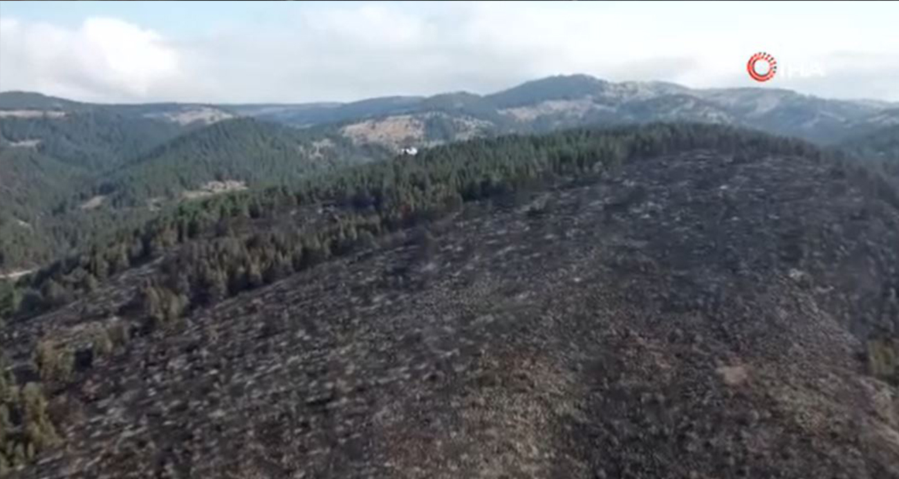 Bolu’daki orman yangınını hasar gören alan böyle görüntülendi