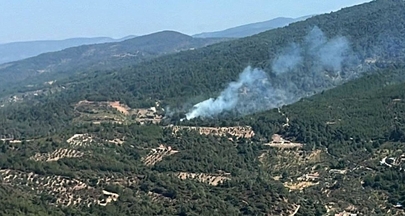 İzmir’de ormanlık alanda yangın