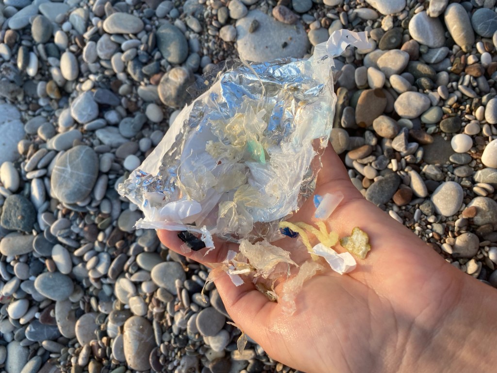 Caretta carettaların plastiklerle mücadelesi