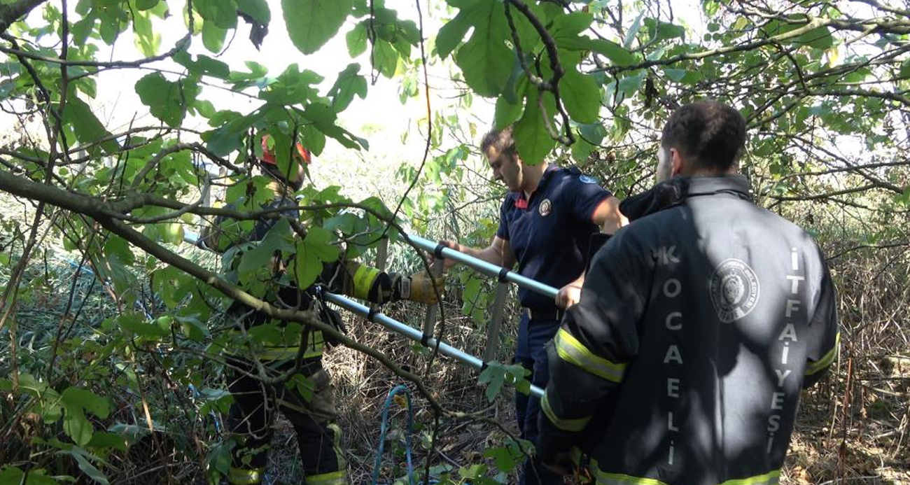 Kısaltmak için girdikleri yol kabusları oluyordu