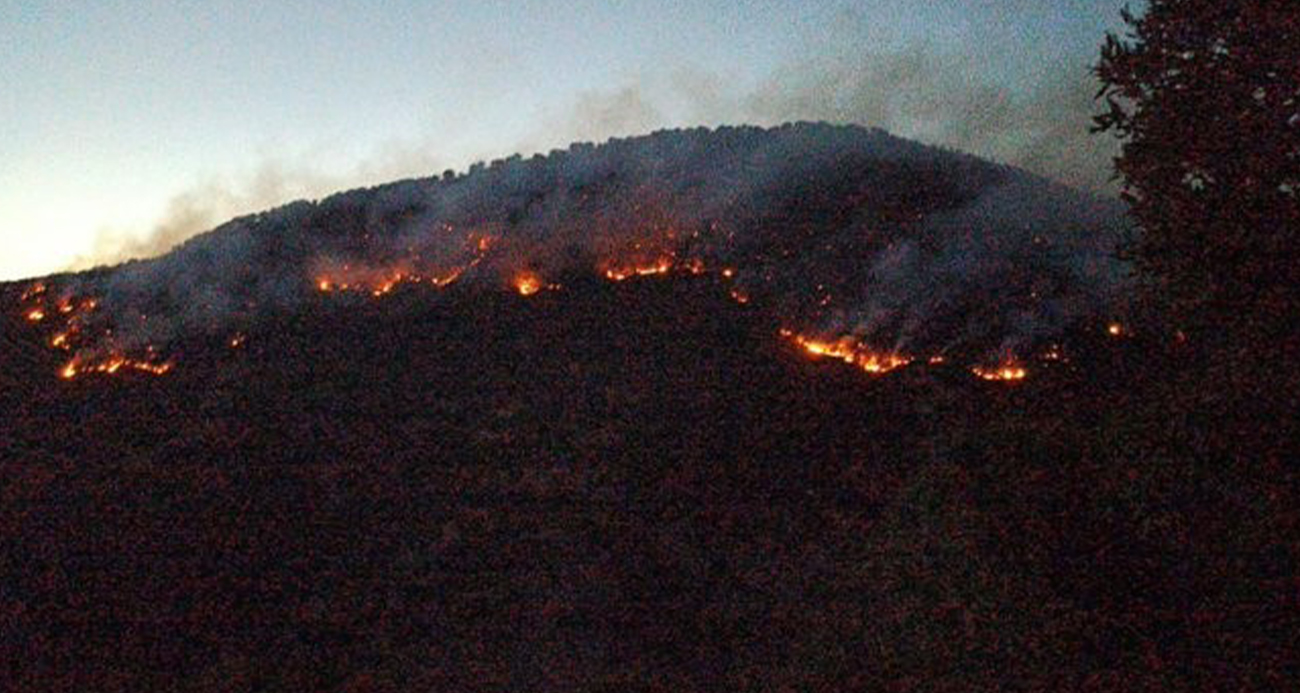 Bitlis’teki orman yangınları kontrol altına alındı