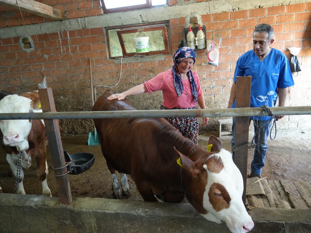 Hayvan sevgisi için hemşireliği bırakıp veteriner hekim oldu