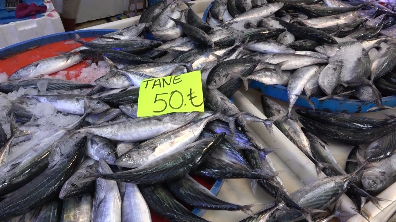 Palamut bu sezon hem denizlerde ve tezgahlarda krallığını ilan etti