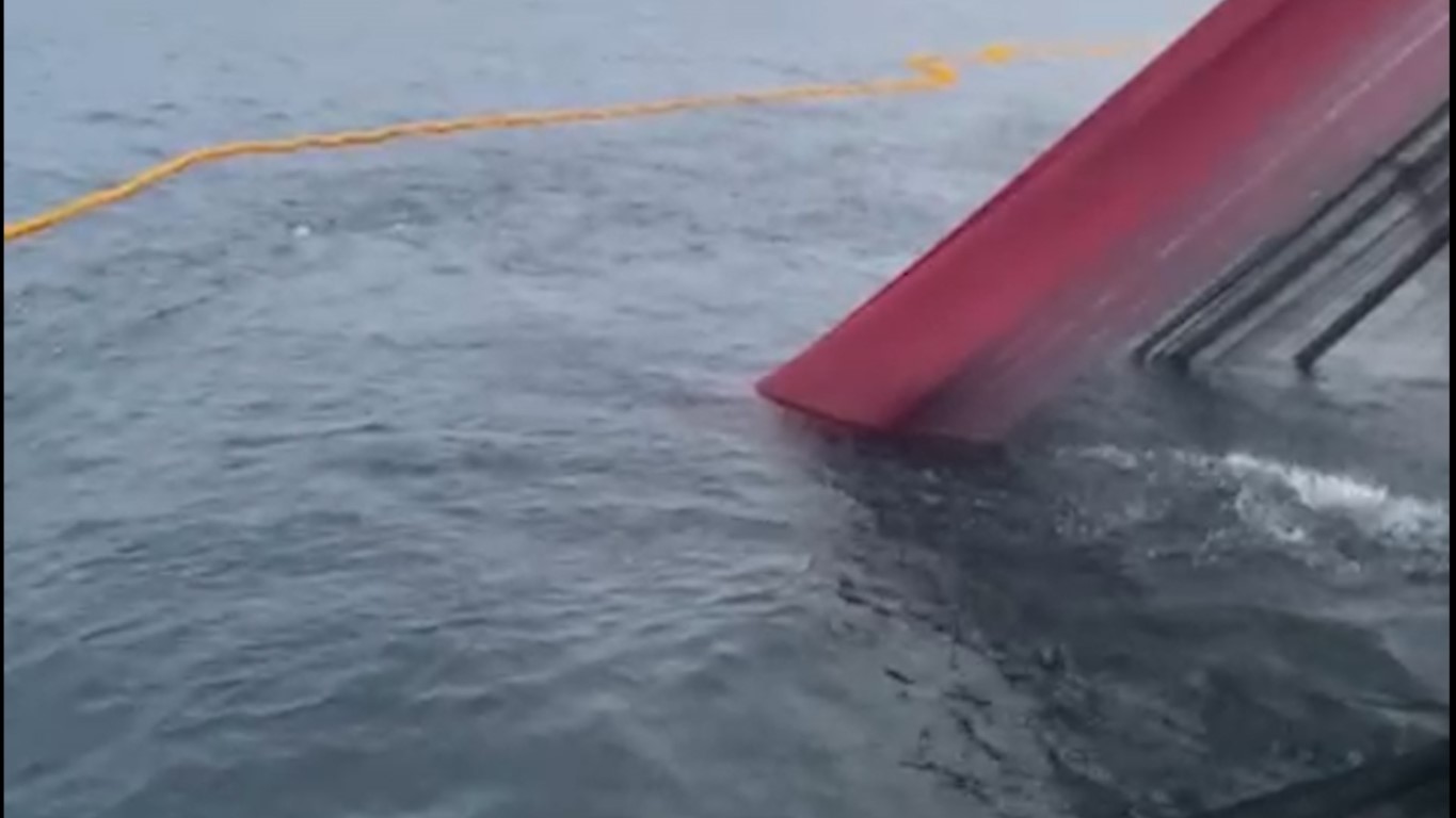 Palamut bu sezon hem denizlerde ve tezgahlarda krallığını ilan etti