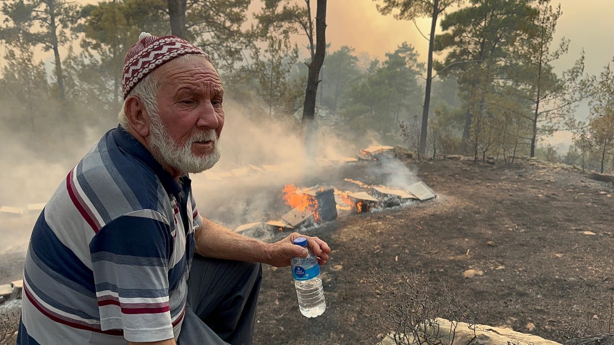 Alevler emekleri yok etti: Orman yangınında yüzlerce arı kovanı küle döndü