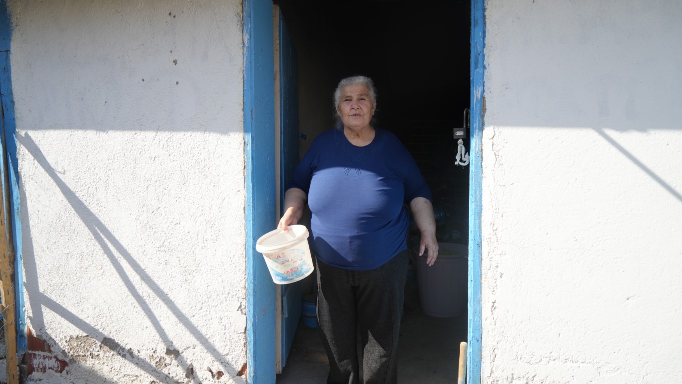 Yaşlı kadının ev yaptırma hayali kabusa döndü: Ablası, köpek ve sopayla dehşeti yaşattı