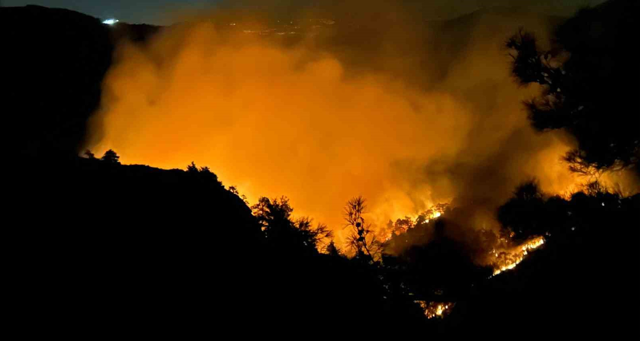 Hatay’da orman yangını