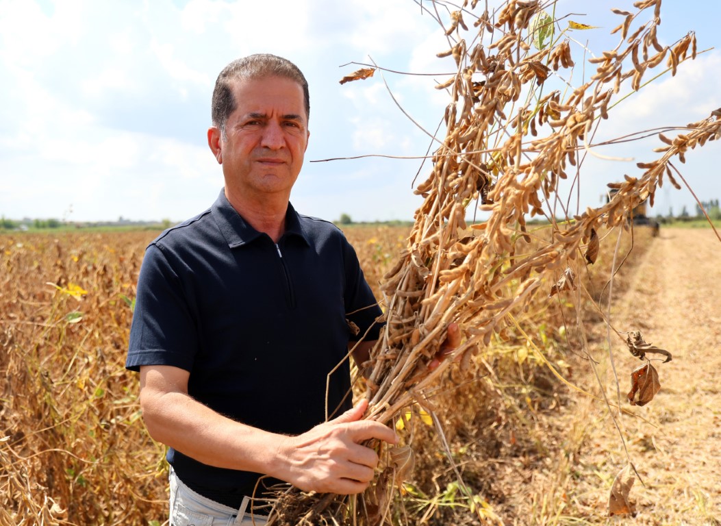 Adana’da soya hasadı başladı