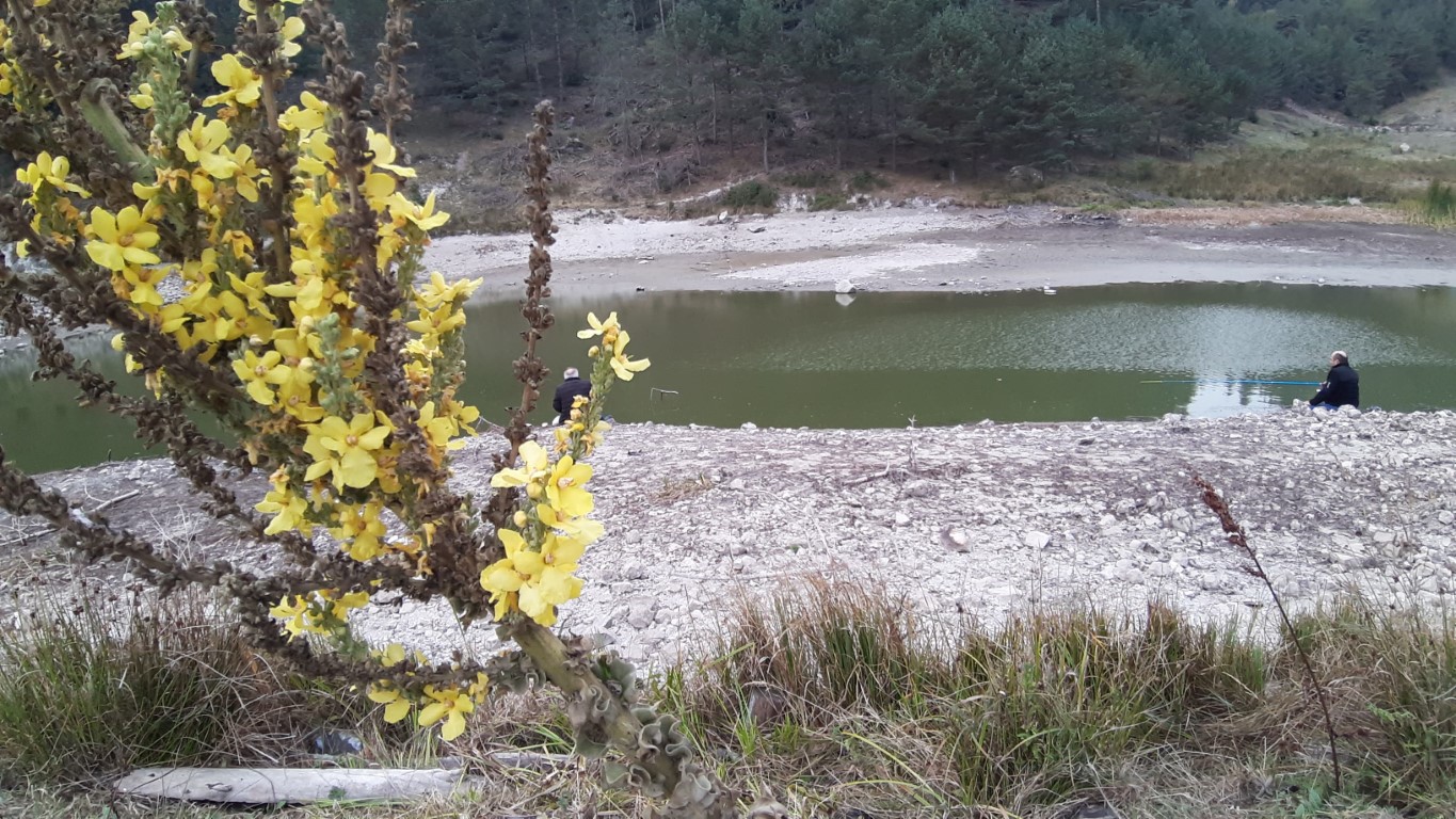 Göletlerde gözle görülür çekilme: “Böyle giderse köylerimiz, hayvanlarımız susuz kalacak”