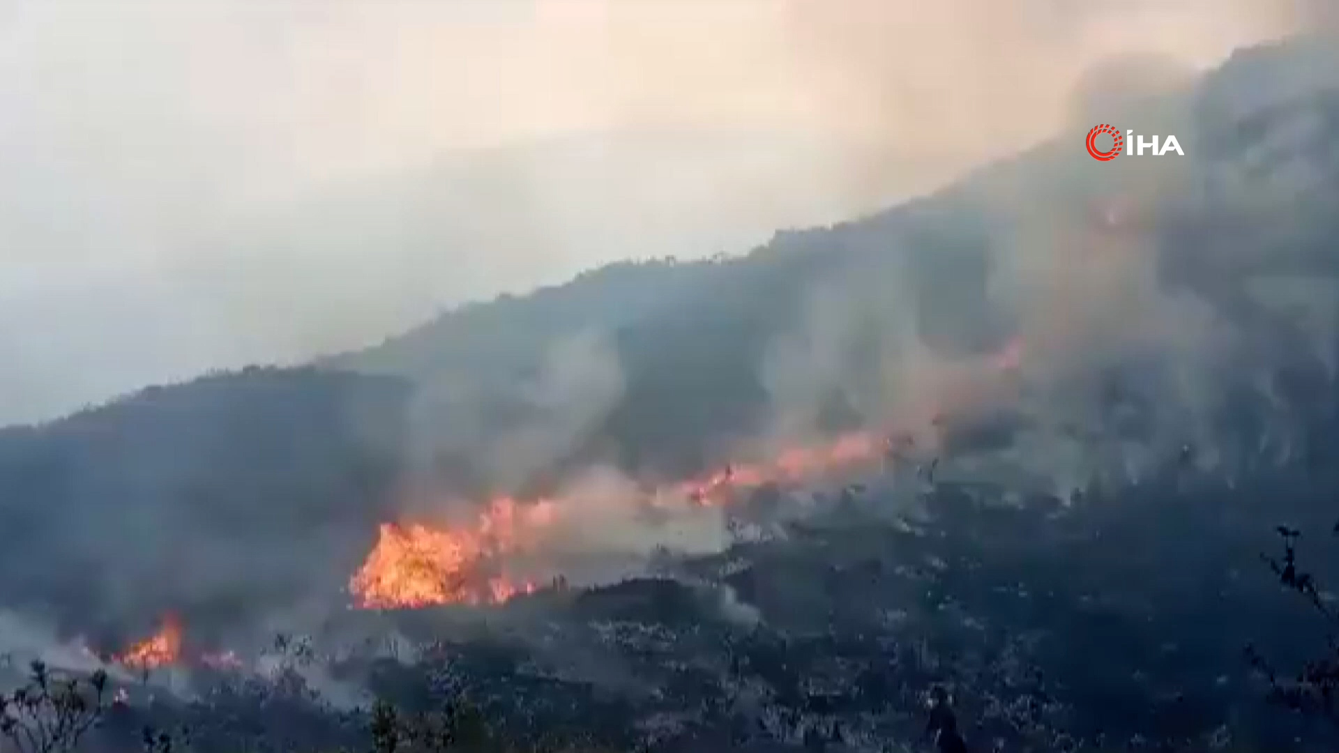 Peru’da 16 kişinin ölümüne yol açan orman yangınları nedeniyle Amazonas, San Martin ve Ucayali bölgelerinde acil durum ilan edildi.