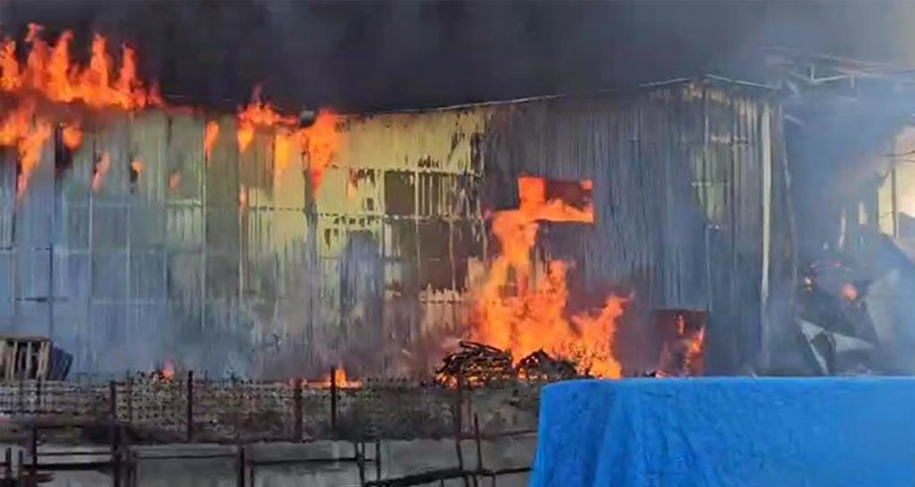 Balık yemi paketleme fabrikası alevlere teslim oldu