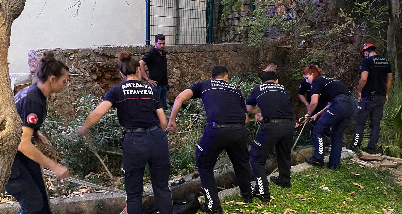 Antalya’da bir parkta bulunan uçurumdan düşen yabancı uyruklu adam itfaiye ekipleri tarafından kurtarıldı. Yaklaşık 1 saat süren kurtarma çalışmaları, film sahnelerini aratmadı.