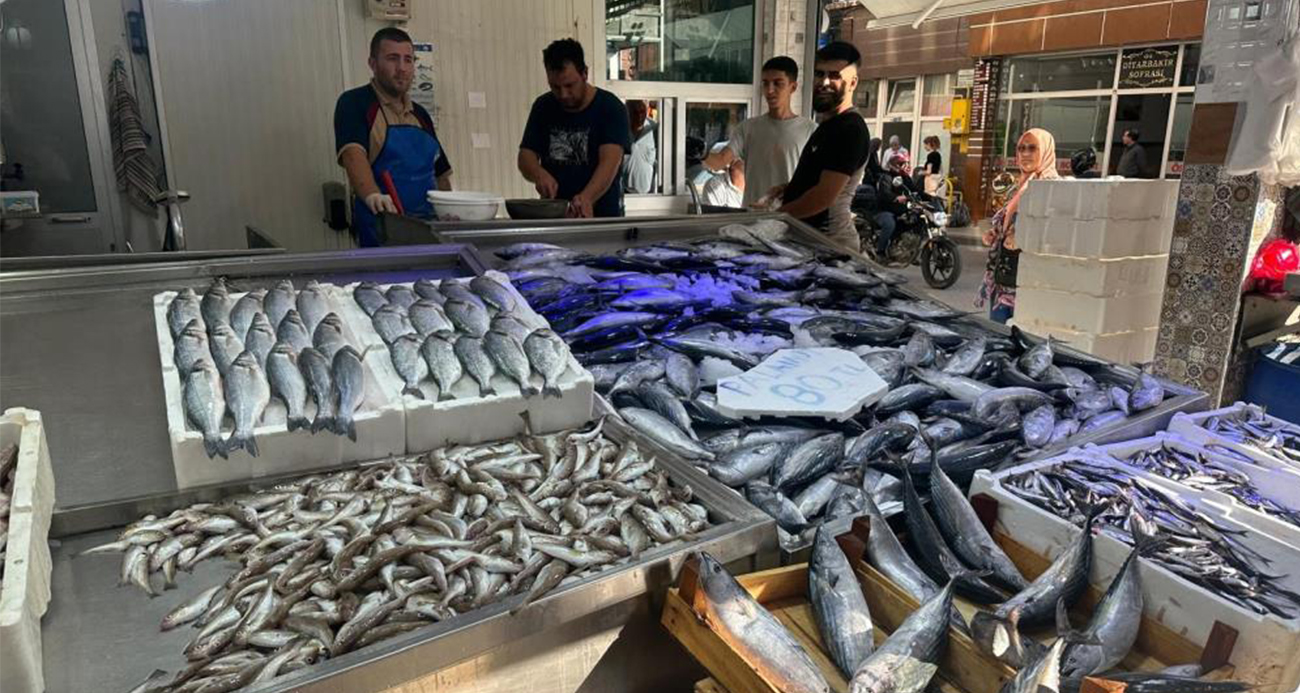 Karadeniz’de palamut bolluğu: Tanesi 80 liraya düştü