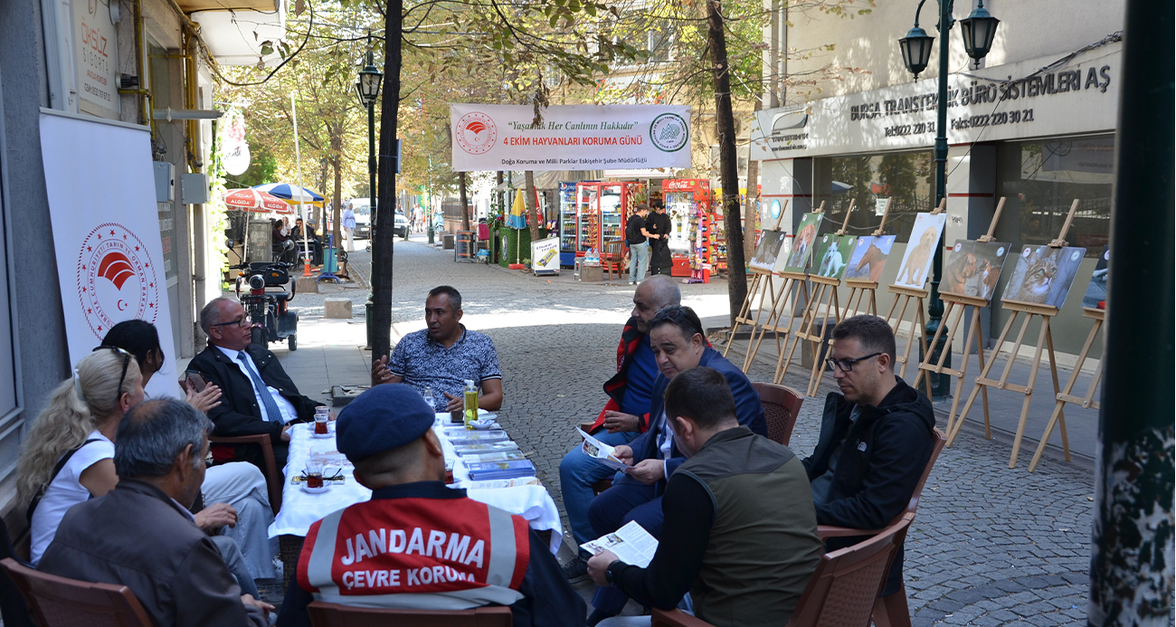 DKMP, Hayvanları Koruma Günü’nde vatandaşları bilgilendirdi