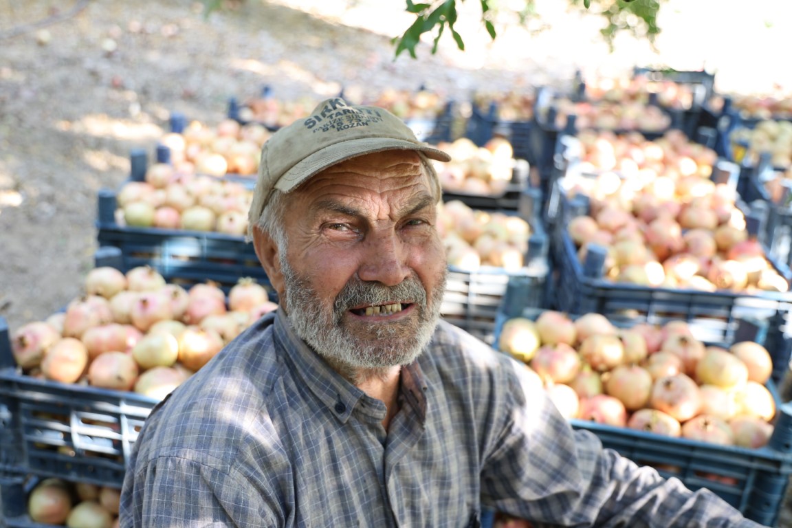 Tescilli Kuytucak narı bahçede 20 lira