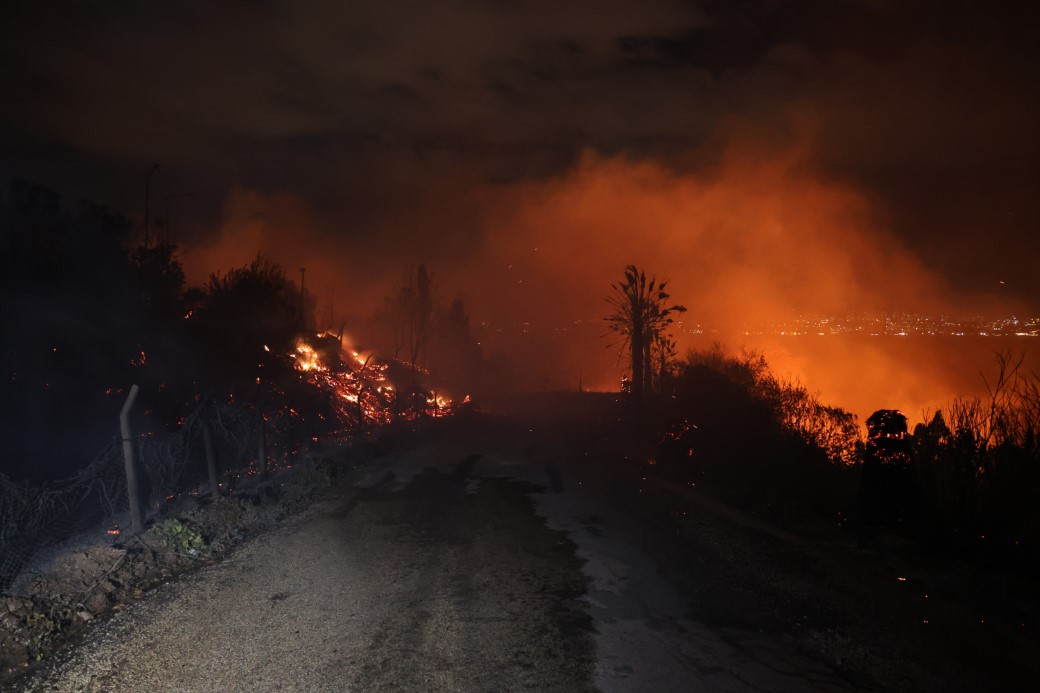 Adana’da ormanlık alanda yangın