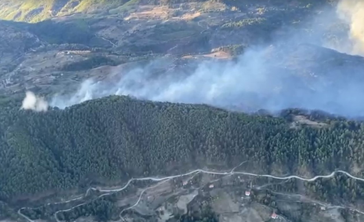 Muğla’yı orman yangınları esir aldı
