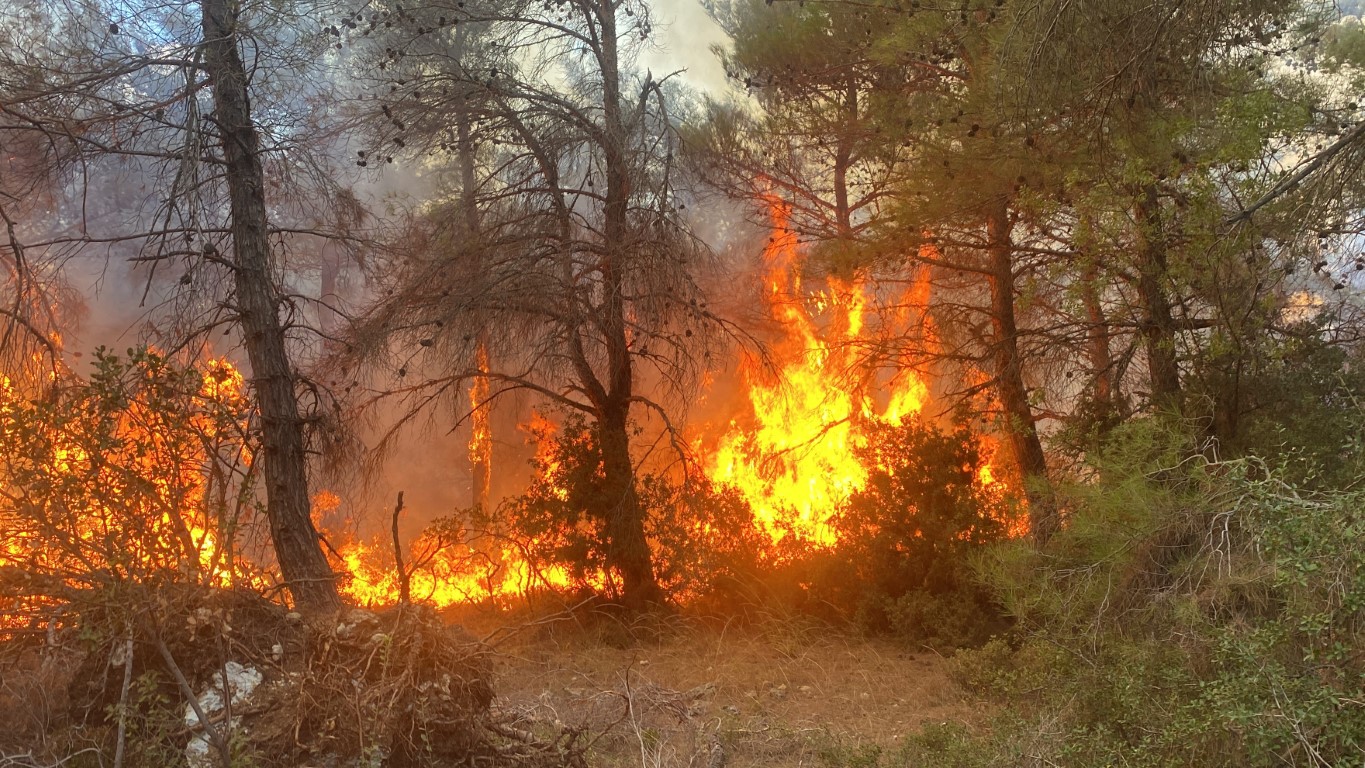 Çanakkale’deki orman yangınında 2 kişi gözaltına alındı