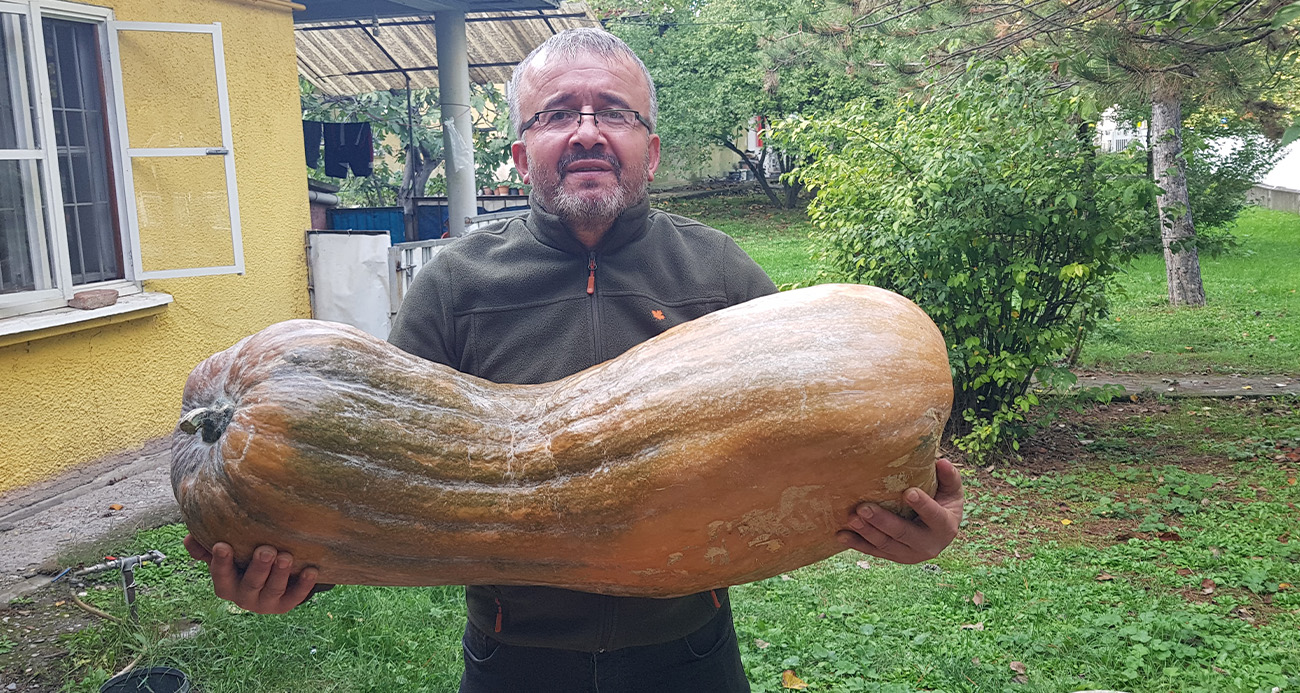 40 kilogramlık 110 santimetrelik kabak görenleri şaşırttı