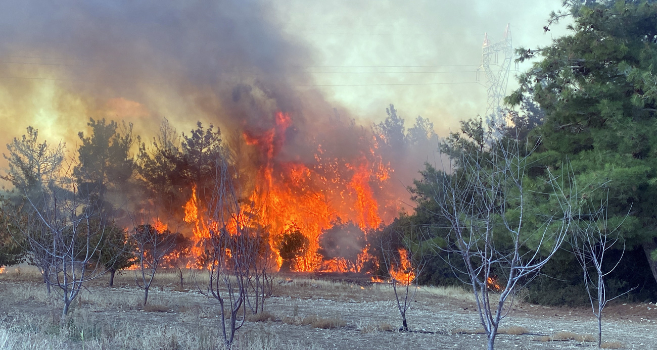 Çanakkale’deki orman yangınında 2 kişi gözaltına alındı