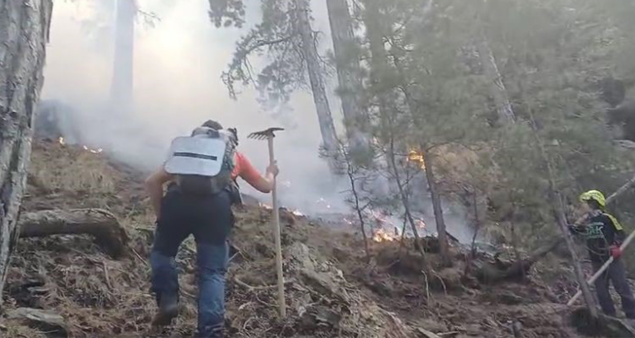 Denizli’deki orman yangınını söndürmek için vatandaşlar seferber oldu