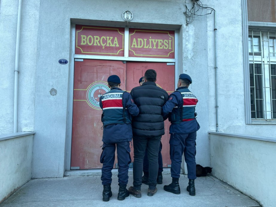 Artvin’de kooperatif başkanı eylemlerin yapıldığı alanda kaçak ağaç kesmekten gözaltına alındı