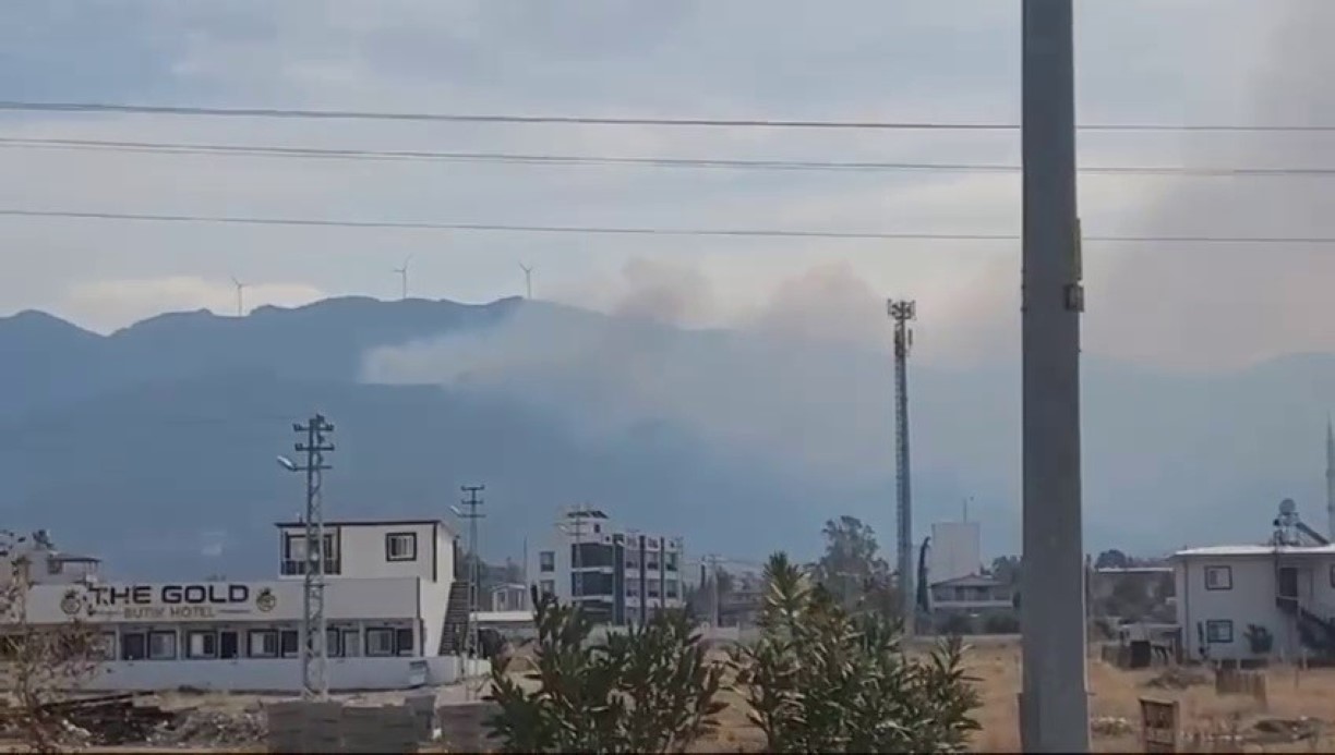 Hatay’da orman yangını